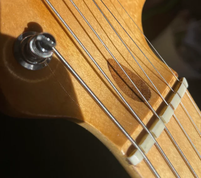 Why Your Guitar Buzzes